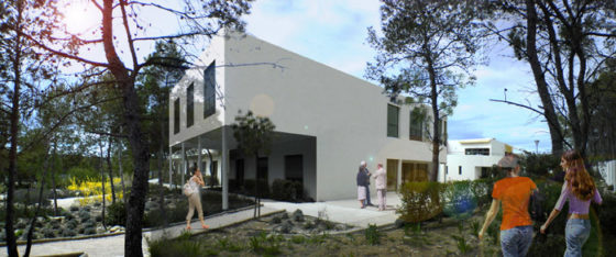 INSERTION PAYSAGÈRE